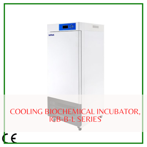 Tủ ấm lạnh ICB-B-L